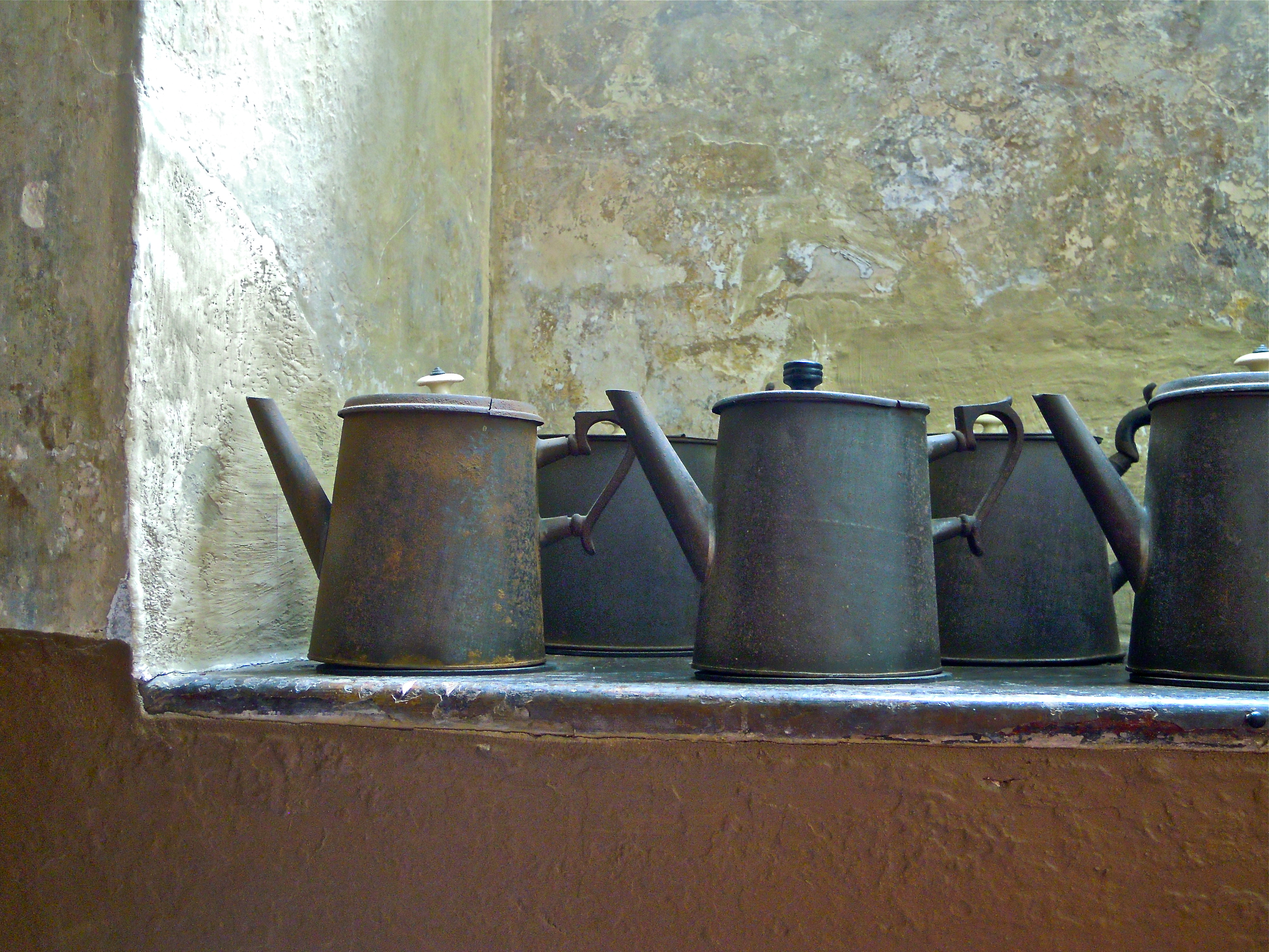 Schöne Ordnung – das Foto des Tages