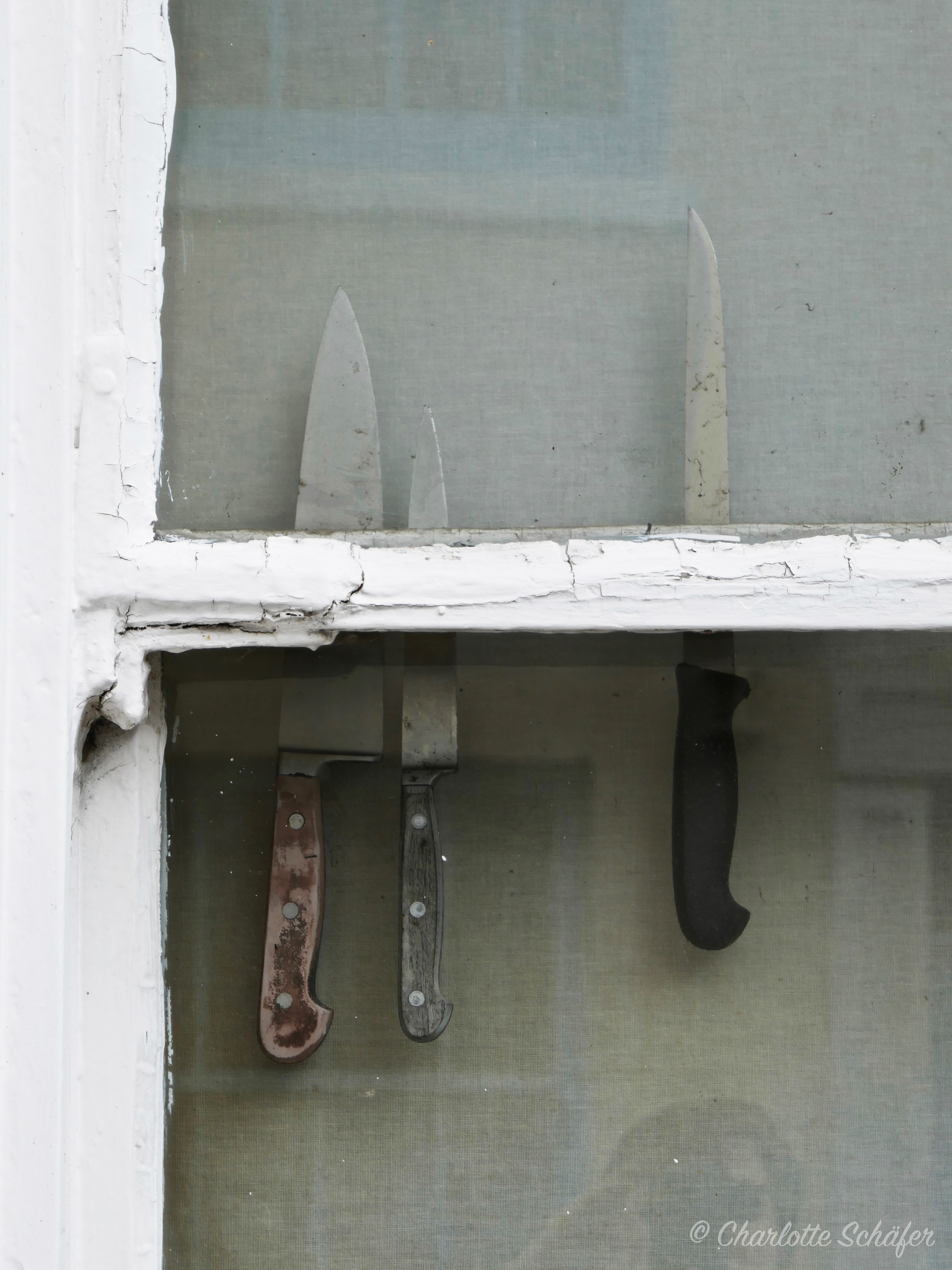 Schöne Ordnung – das Foto des Tages