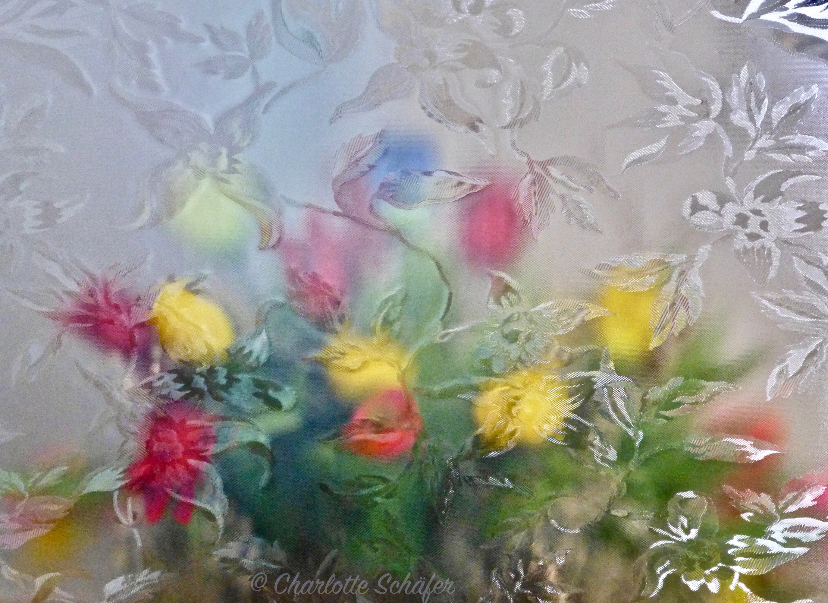 Frühlingsboten – die Fotos des Tages