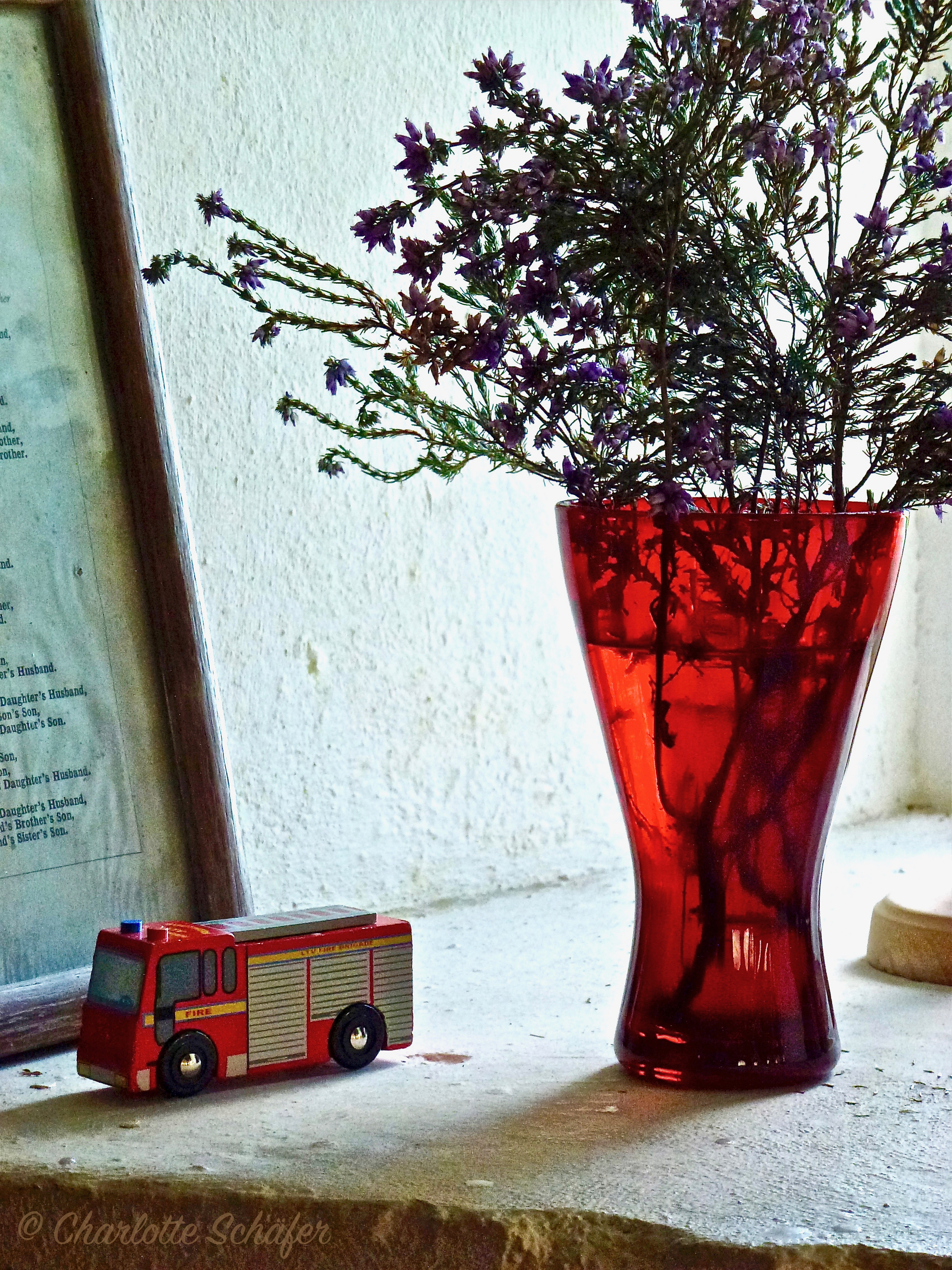 Once in Wales – das Foto des Tages