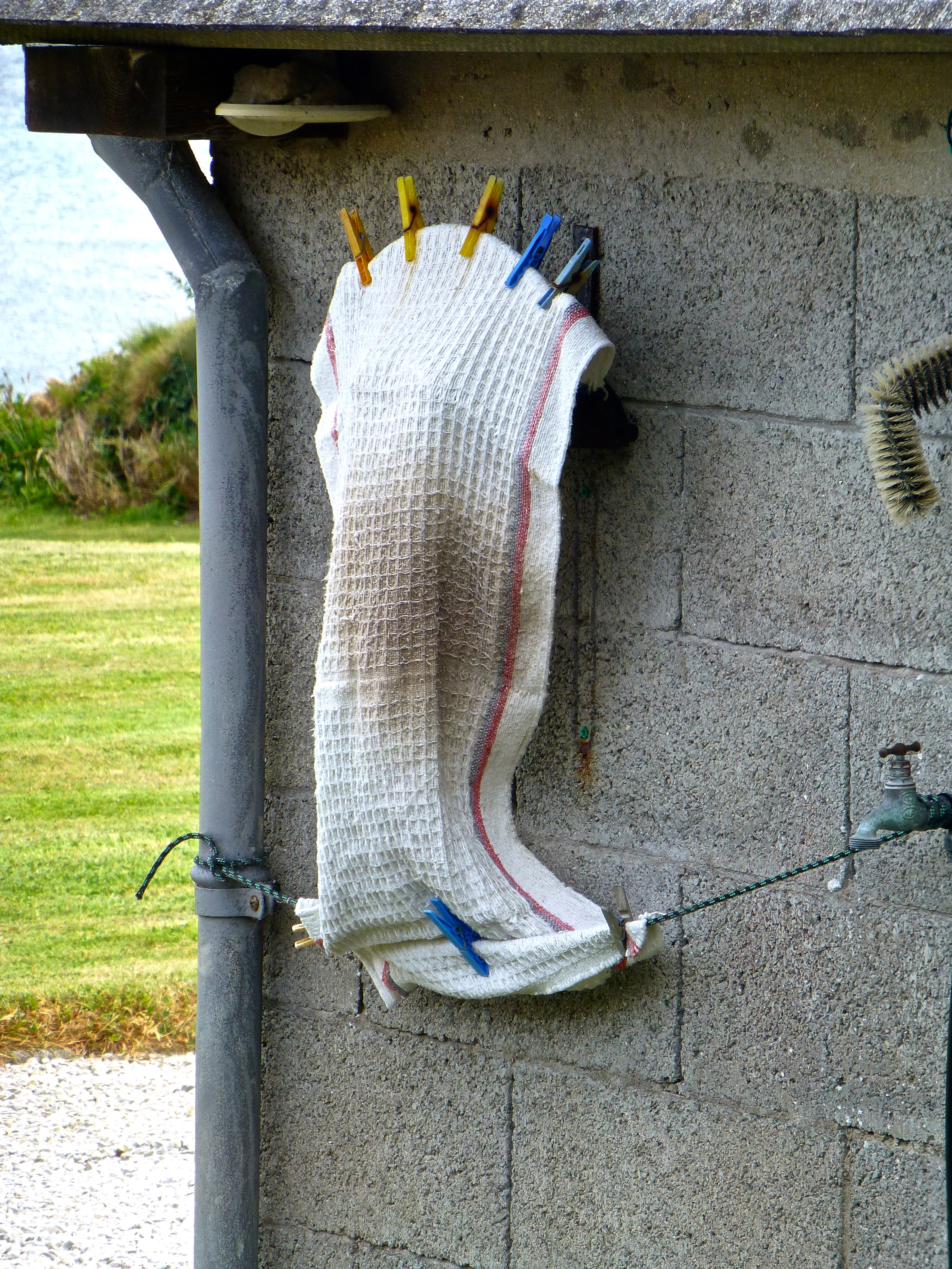 Schöne Ordnung – Foto des Tages