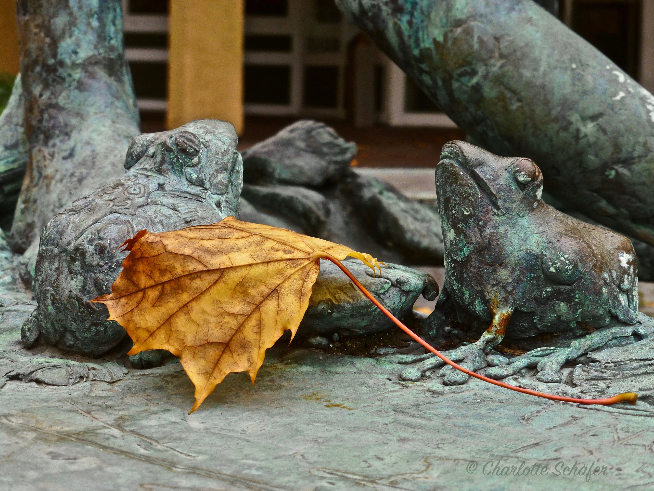 Es ist Herbst – das Foto des Tages