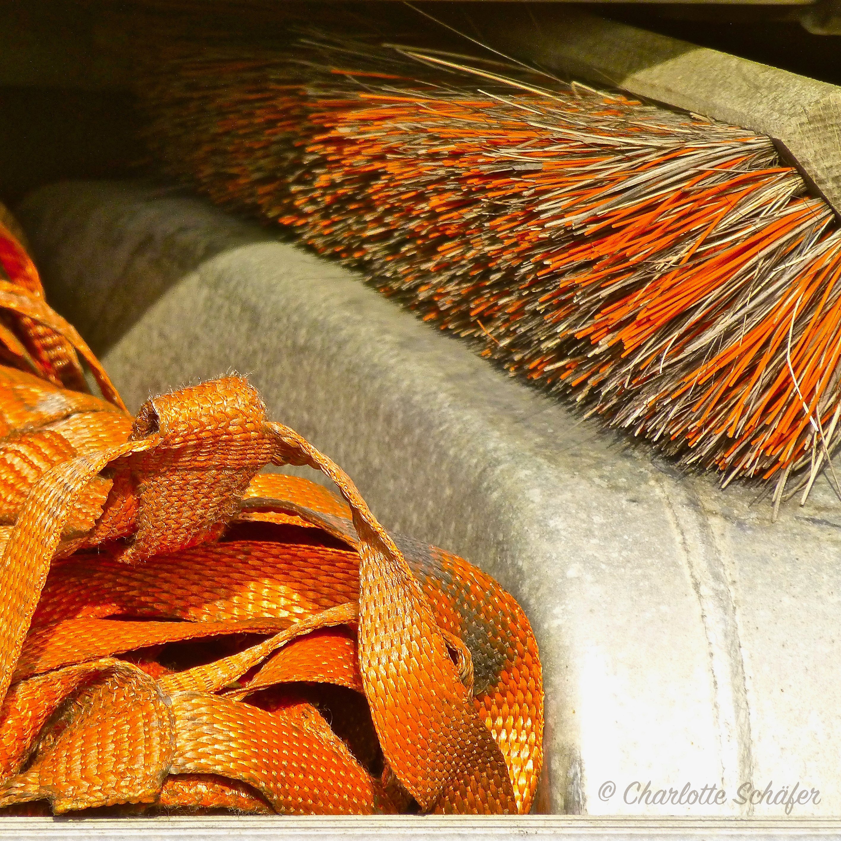 Schöne Ordnung – das Foto des Tages