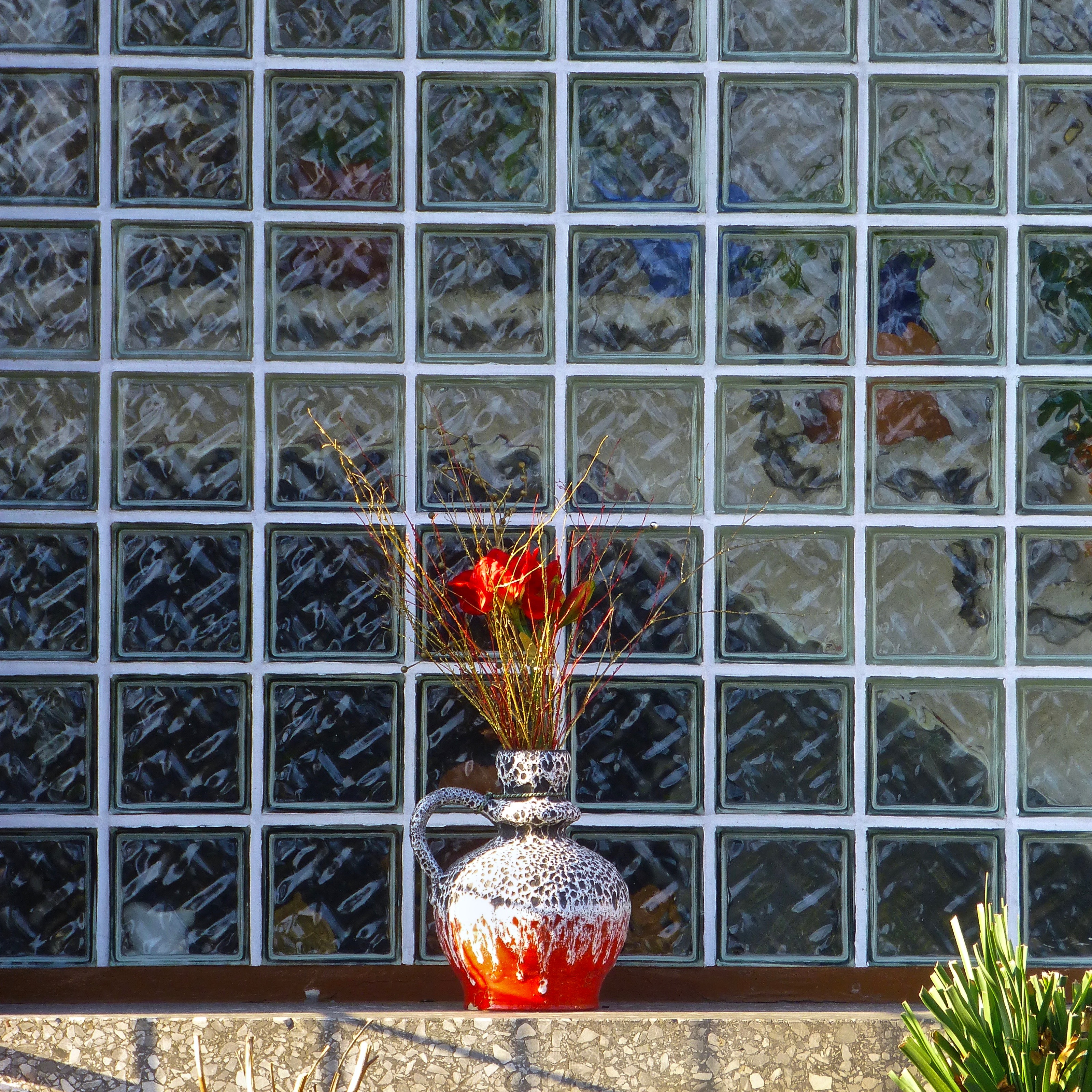 Perfekte Inszenierung – das Foto des Tages