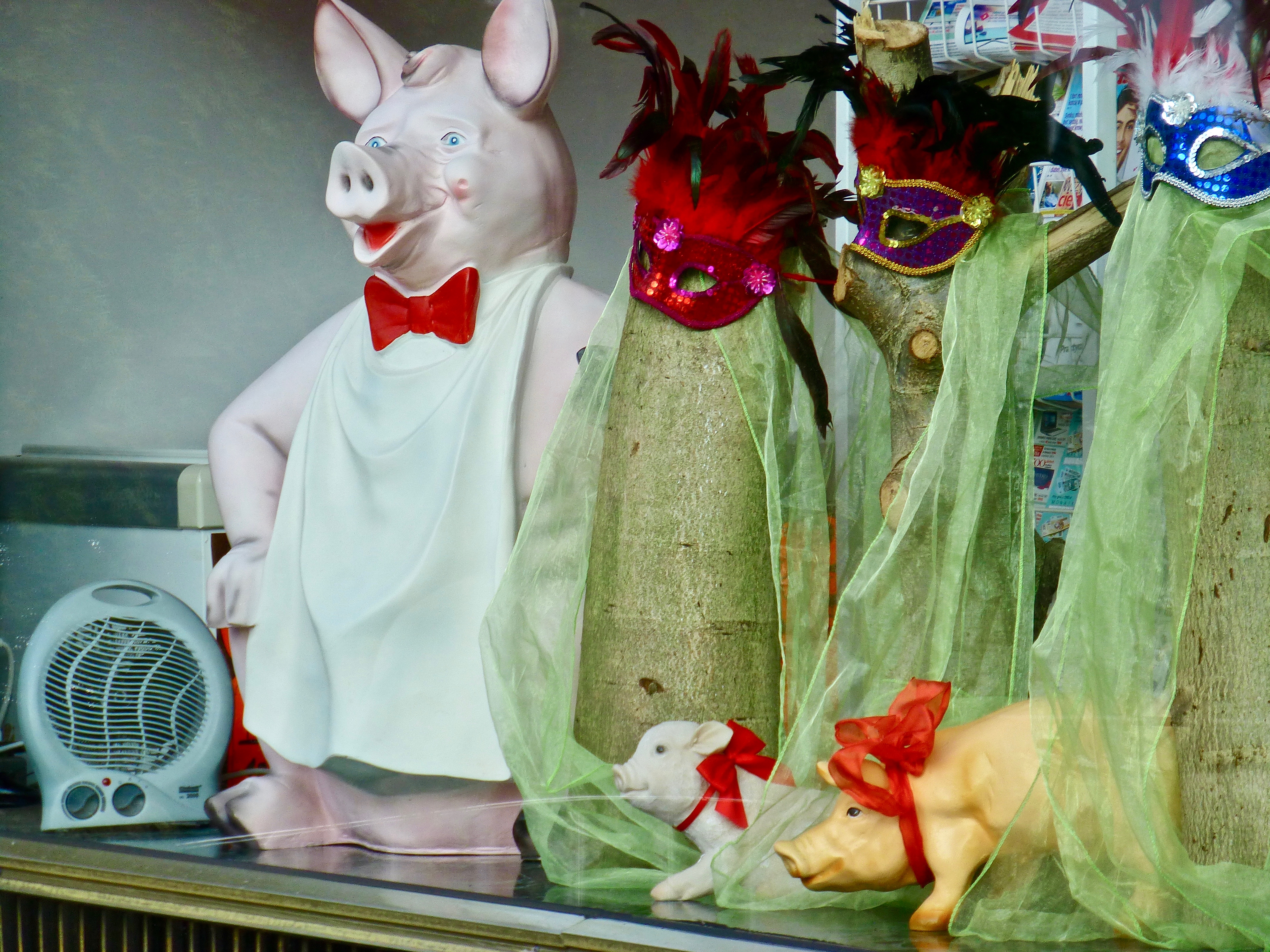 Glücksschweine – das Foto des Tages