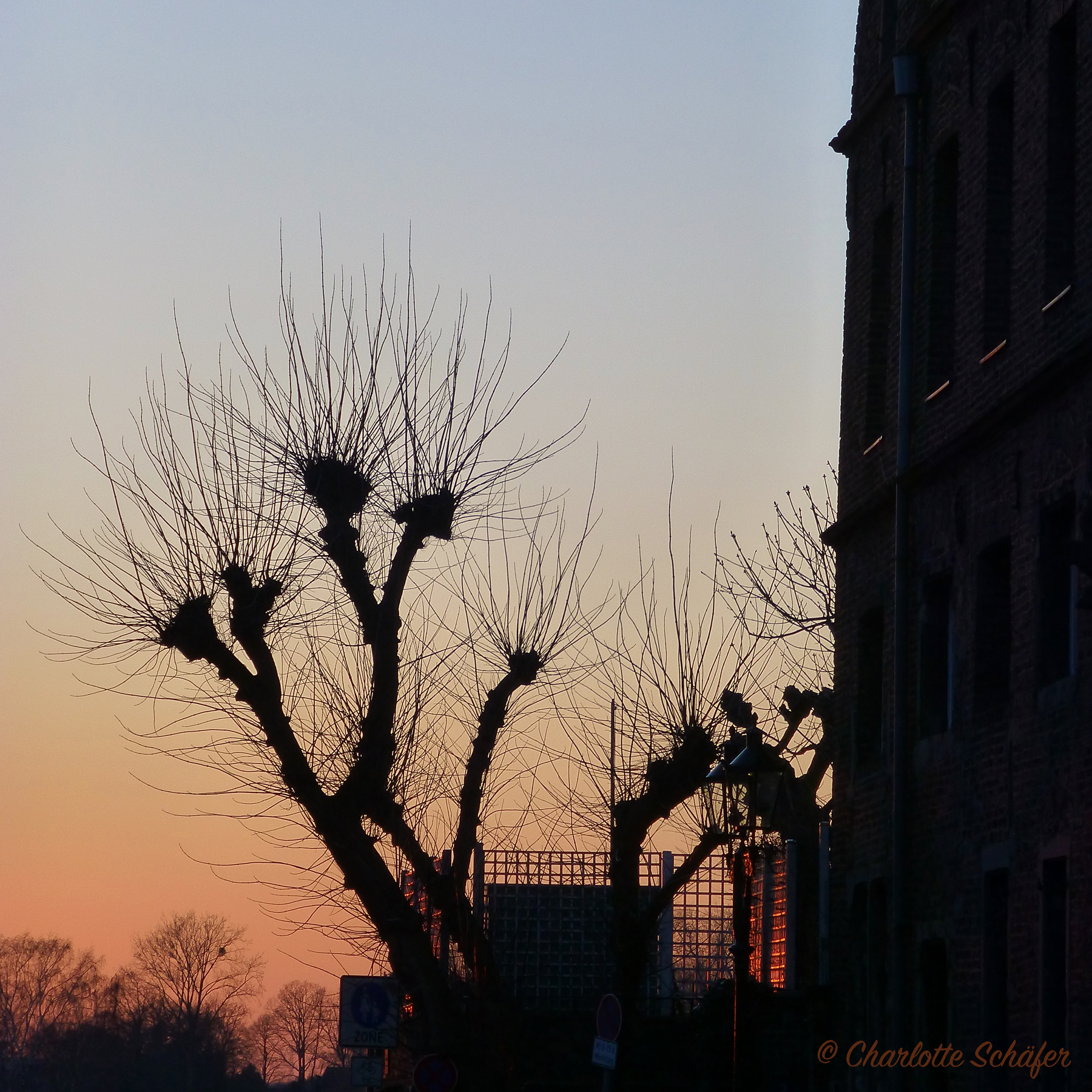 Sunset in Kaiserswerth