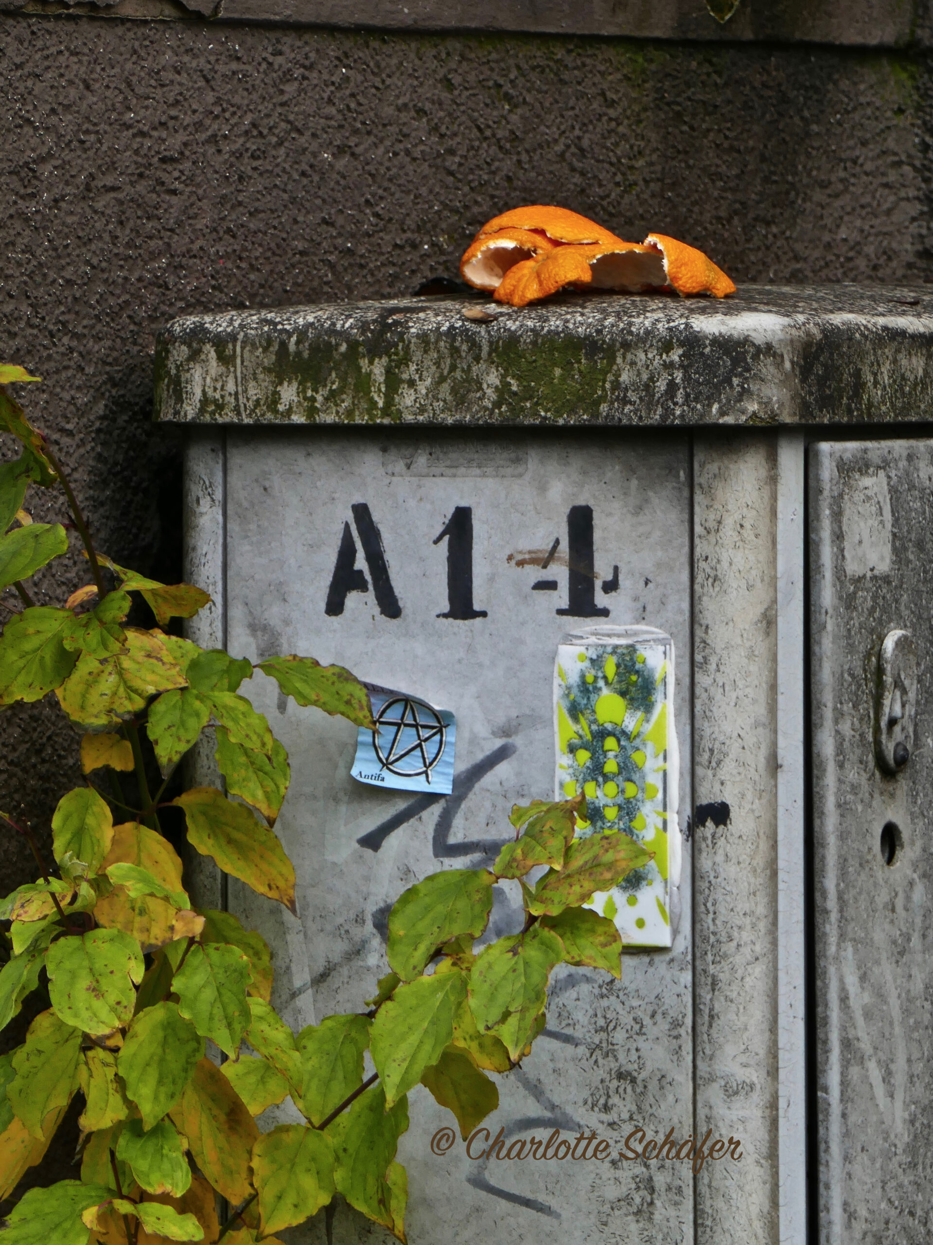 Mein Adventskalender 2022 – 14. Türchen